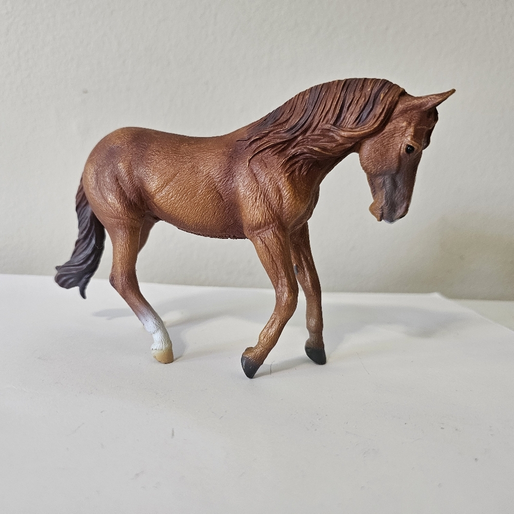 Australian Stock Horse Stallion - Chestnut 88712
